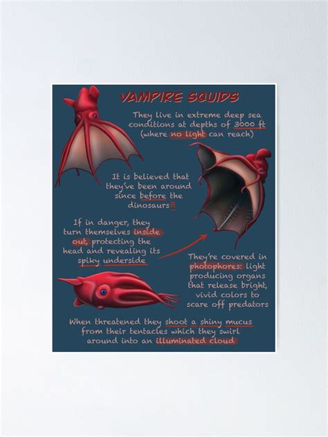 "Vampire Squid Fun Animal Facts" Poster for Sale by troyanthonyart ...