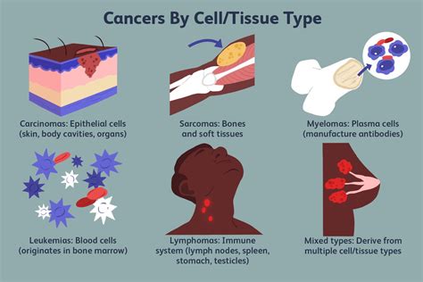 Types Of Cancer: A Comprehensive Guide To Different Forms - Ask The Nurse Expert