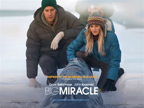 Hollywood Free Update Movie: Big miracle 2012 Movie Free Download