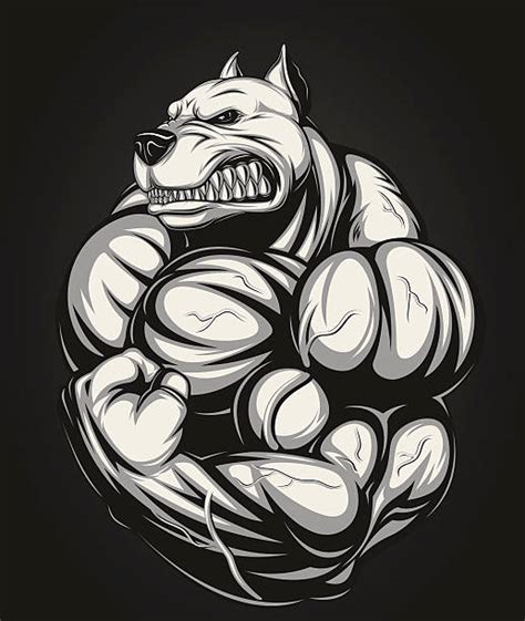 Dog Muscles Illustrations, Royalty-Free Vector Graphics & Clip Art - iStock