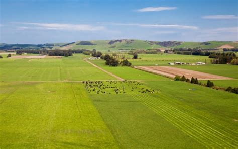 See pictures of a massive 2,900 acre New Zealand farm that's for sale - Agriland.ie