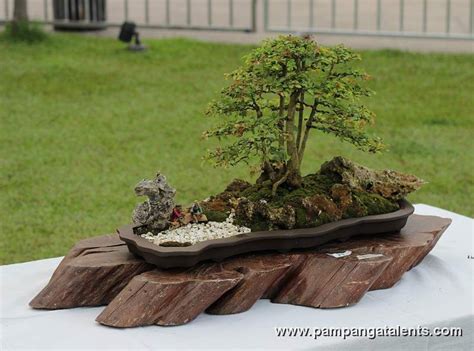 Penjing / Landscape Bonsai | Bonsai garden, Bonsai, Bonsai tree care