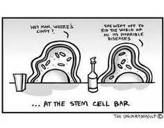 Stem Cell Cartoon Stem Cell Therapy, Hey Man, Science Humor, Seriously Funny, Cartoon Shows