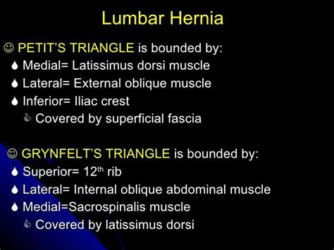 Lumbar triangle_01 (note: pettit's triangle is inferior lumbar triangle ...