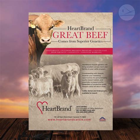 HeartBrand Great Beef Print Advertisement Design by Ranch House Designs ...