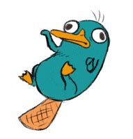 Perry The Platypus GIFs - Find & Share on GIPHY