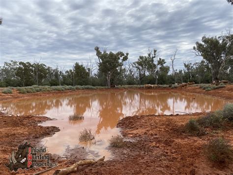 Inland Hunting Properties - Dirranbandi #3