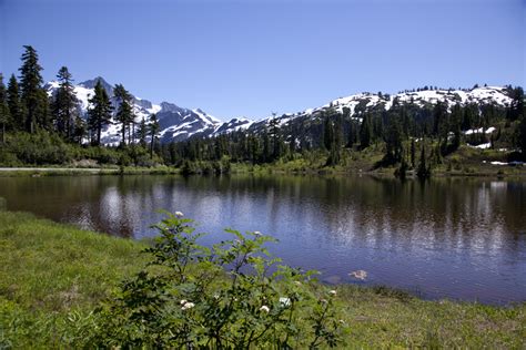 Mt Baker!!!! » Alive in Seattle