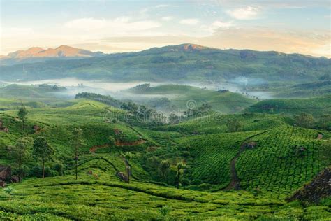 10,123 Munnar Stock Photos - Free & Royalty-Free Stock Photos from ...