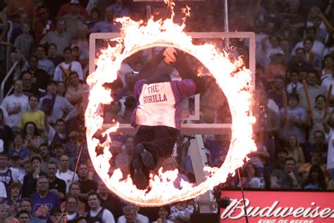 Phoenix Suns Gorilla through the years | 12news.com