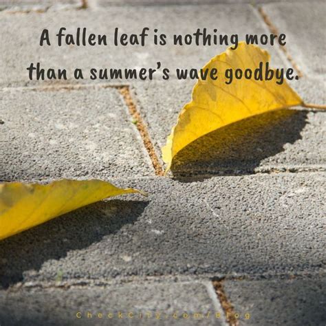 End of Summer Quotes | End of summer quotes, Summer quotes, Summer ...