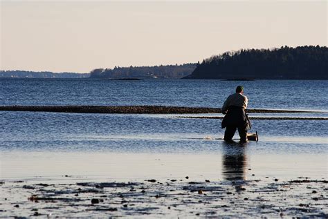 Clam Digging Photograph by Amanda Russell - Fine Art America