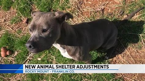 Franklin County Animal Shelter looks forward to new shelter