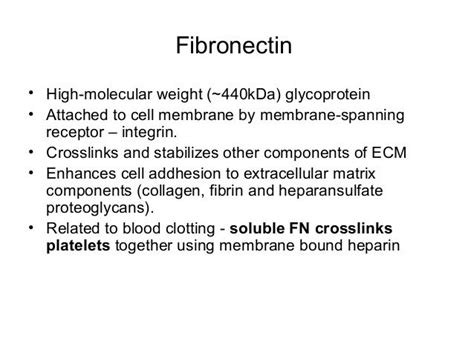 Extracellular matrix