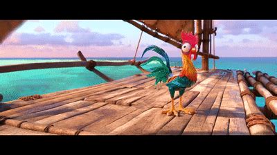 Moana - Hei Hei Funny Moments on Make a GIF