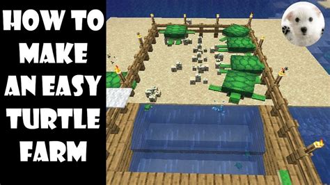 How To Make A Turtle Farm In Minecraft - Design Talk