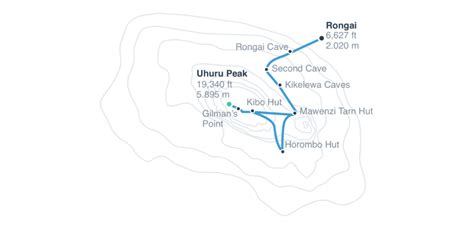 Rongai Route - Tanzania Joy Tours I Kilimanjaro Climb I Safari Tanzania