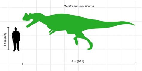 Ceratosaurus Fact Sheet, Diet, Behavior and Discovery