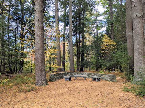 Katie Wanders : White Memorial Conservation Center - Litchfield ...