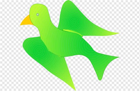 Green Grass, Beak, Line, Fish, Bird, Fin, Wing, Beak, Line, Green png | PNGWing