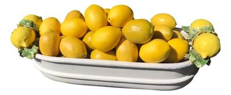 Signed Large Majolica Lemon Oblong Centerpiece Bowl & Lemons This listing is for both the ...
