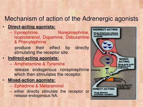 Adrenergic Agonist