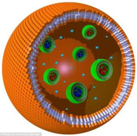 The 'living' cell made of PLASTIC: Scientists create artificial structure that performs chemical ...