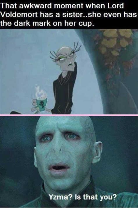 Top 25 Harry Potter Memes Voldemort | Harry potter memes hilarious, Harry potter funny, Harry ...