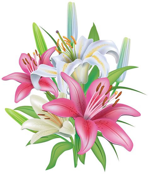 Free Lily Bouquet Cliparts, Download Free Lily Bouquet Cliparts png images, Free ClipArts on ...