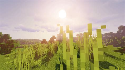 This is why I use shaders : Optifine