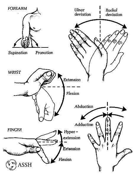 The Rochester Hand Center