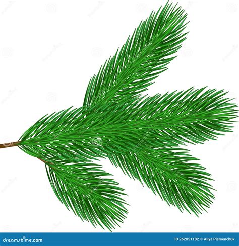 Christmas tree branch stock vector. Illustration of holiday - 262051102