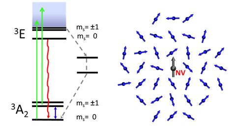 NV Spin Dynamics | Pines Lab