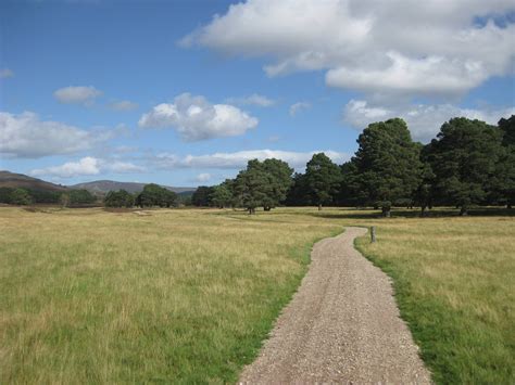 Trail near Aviemore, Scotland [OC] [3264x2448] : r/ruralporn