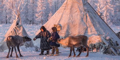 Yamal Peninsula Travel Guide - How to Visit with The Nenets