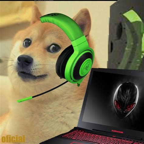 "Doge" Meme Templates - Imgflip