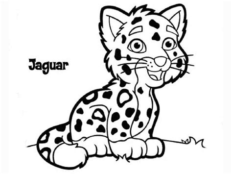 Jaguar Outline Drawing at PaintingValley.com | Explore collection of ...