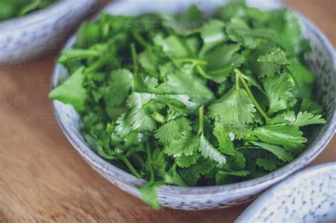 Fresh coriander on wooden table stock photo