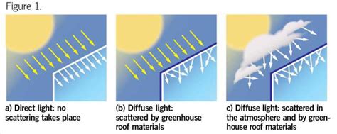 Diffuse Light and its Effects in Greenhouses