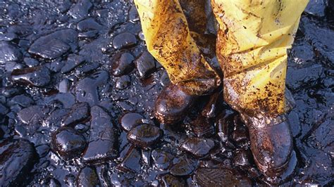 Photos: 1989 Exxon Valdez oil spill in Prince William Sound, Alaska ...