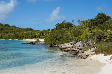 14 Best Places to Snorkel in Antigua | Celebrity Cruises