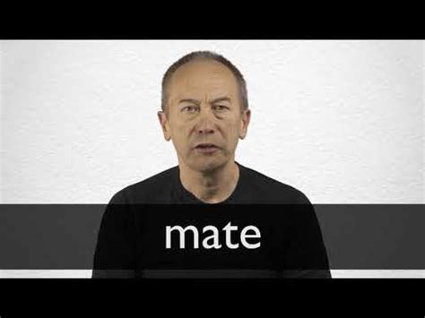 MATE definition and meaning | Collins English Dictionary