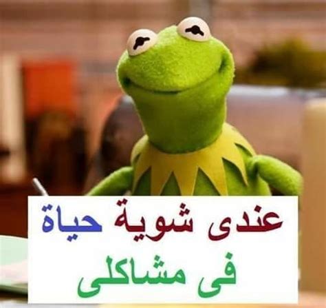 12 صورة #نكت #خلفيات #رمزيات الضفدع #كيرميت - صورة 11 | Funny cartoon quotes, Fun quotes funny ...