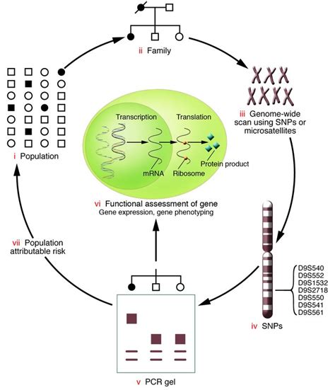 JCI - Mapping the new frontier: complex genetic disorders