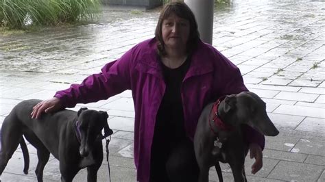 GREYHOUND RESCUE - YouTube