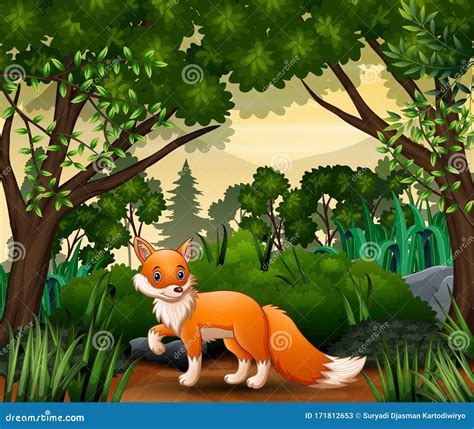 A Fox Looking For Prey At Forest Scene Cartoon Vector | CartoonDealer.com #171812653