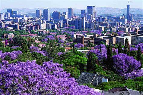 Pretoria, South Africa (The Jacaranda City) : r/CityPorn