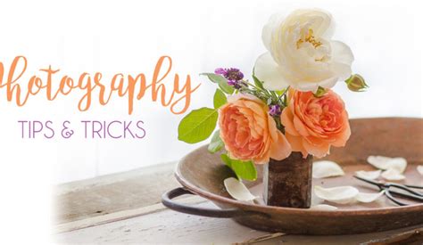 Photography Tips and Tricks