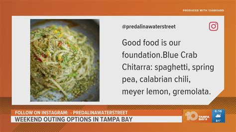 Predalina, an upscale Mediterranean restaurant, opens in Tampa | wtsp.com