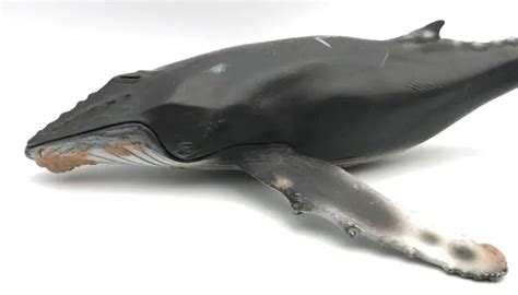 SCHLEICH HUMPBACK WHALE Marine Animal 2000 Huge Figure 16083 Retired RARE! £46.92 - PicClick UK